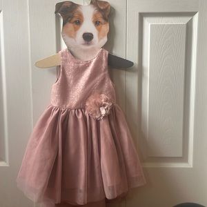 Pastourelle by Pippa and Julie flower girl dress. Gorgeous pale rose color.